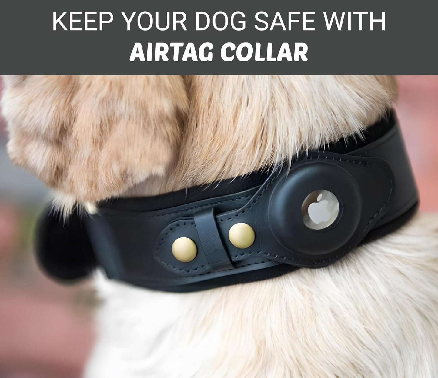 Pet Safe Airtag Collar