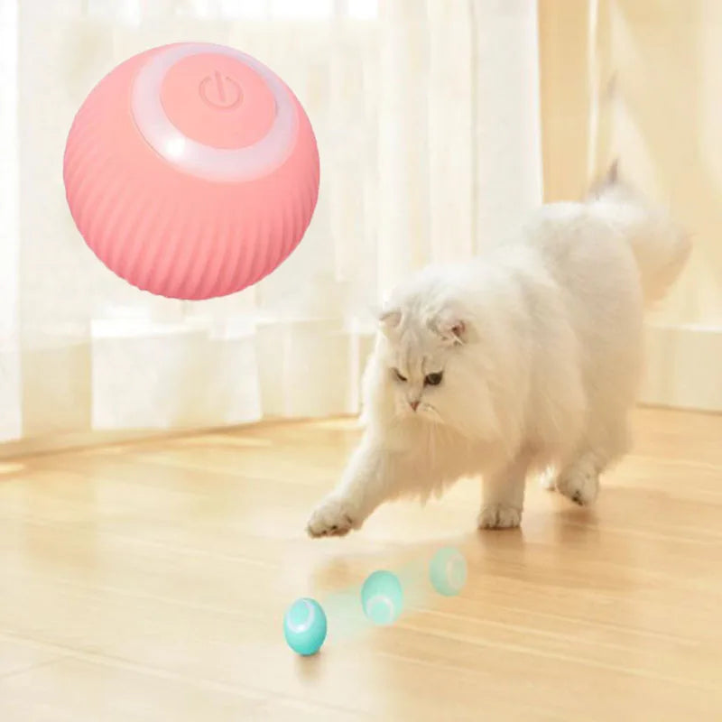 PurrfectPlay Smart Ball