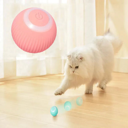 PurrfectPlay Smart Ball