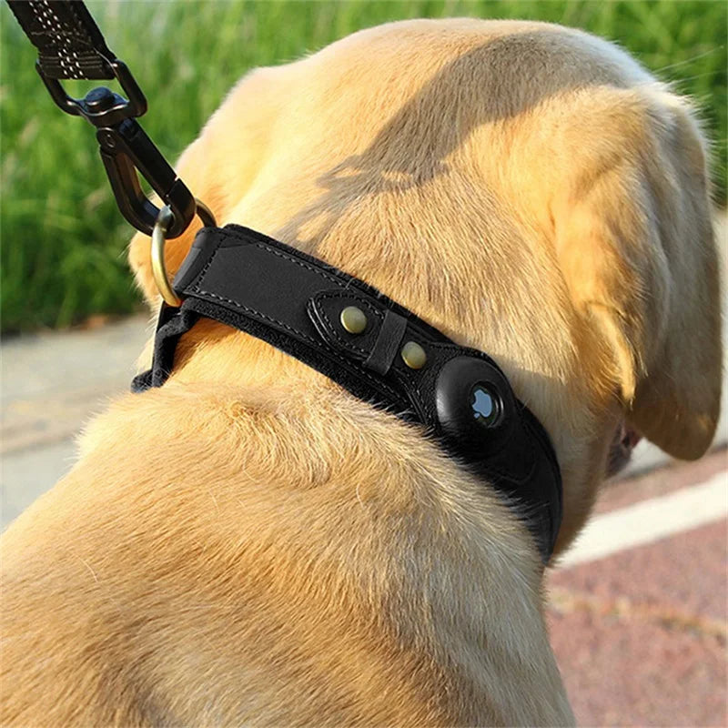 Pet Safe Airtag Collar